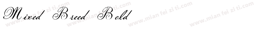 Mixed Breed Bold字体转换